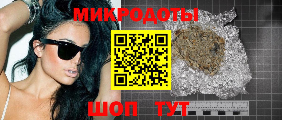 Псилоцибиновые грибы Psilocybe Ржев