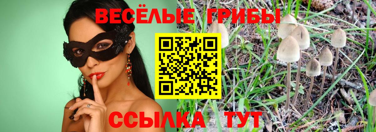 Галлюциногенные грибы Cubensis  Вход с VPN  Ржев  Псилоцибиновые грибы MAGIC MUSHROOMS 